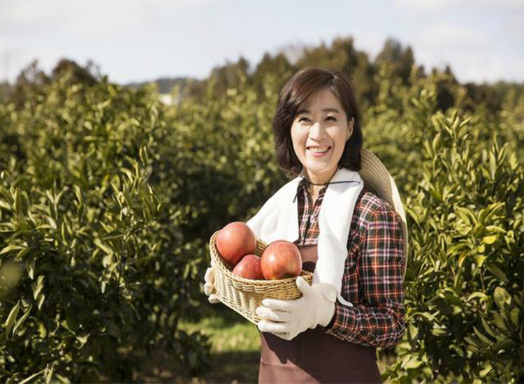 【潤康】磨煤機磨輥與您分享：互聯(lián)網巨頭紛紛賣菜，農民會不會被“割韭菜”？